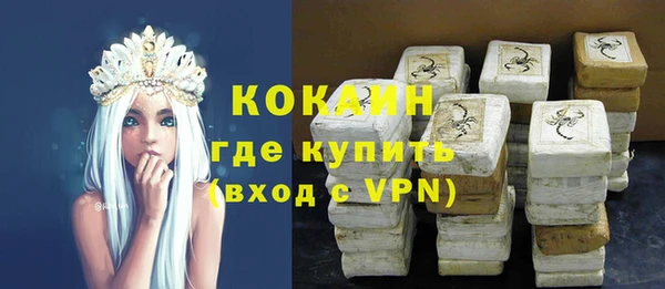 шишки Нязепетровск