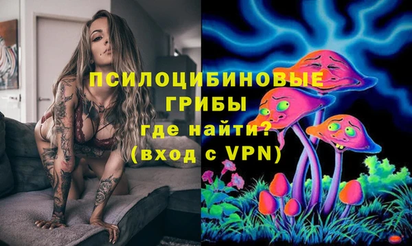 ешки Няндома