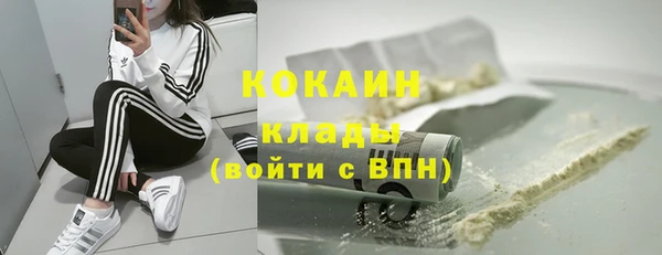 не бодяженный Бикин