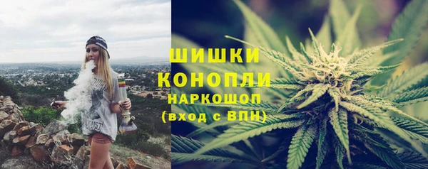 шишки Нязепетровск
