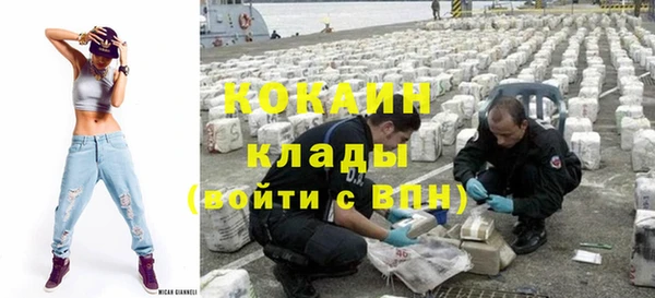 шишки Нязепетровск