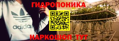 эйфоретик Гатчина