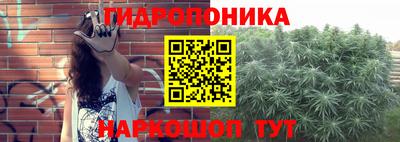 PSILOCYBIN Гагарин