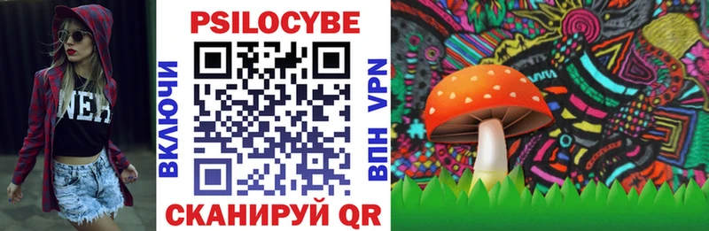 Псилоцибиновые грибы Psilocybe  Тюмень 